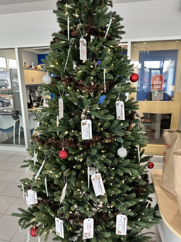 Christmas tree giving tree at Steet Ponte Chevy for Adopt-a-family gift drive.
