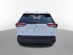 2023 Toyota RAV4 XLE w/ Convenience & Cold Weather Pkg