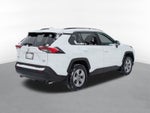 2023 Toyota RAV4 XLE w/ Convenience & Cold Weather Pkg
