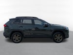 2024 Toyota RAV4 Hybrid Woodland Edition