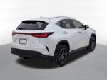 2024 Lexus NX 350 Base