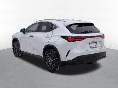 2024 Lexus NX 350 Base